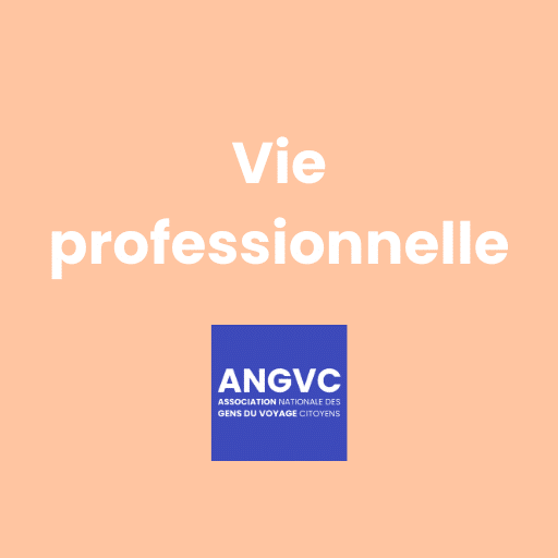 Vie professionnelle